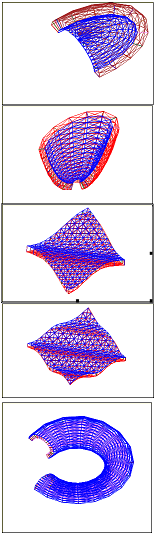 thickness (1).png